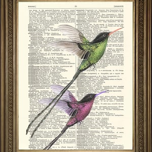 Birds Print: Romantic Humingbird Art, Printed on Vintage Dictionary Pages