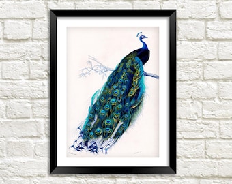Vintage Pfau Print: Viktorianische Vogel Kunst Illustration