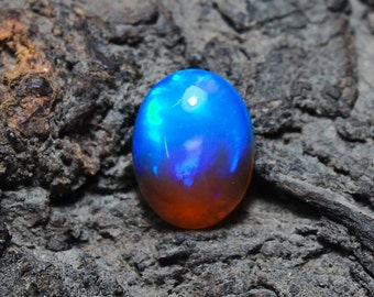 Opale éthiopienne naturelle de qualité AAA, cabochon ovale opale éthiopienne bicolore, 12,5x9,5 mm | Welo Opale pour les bijoux