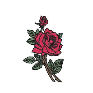 May include: A single red rose with green leaves and stems. The rose is in bloom and has a delicate, romantic look.