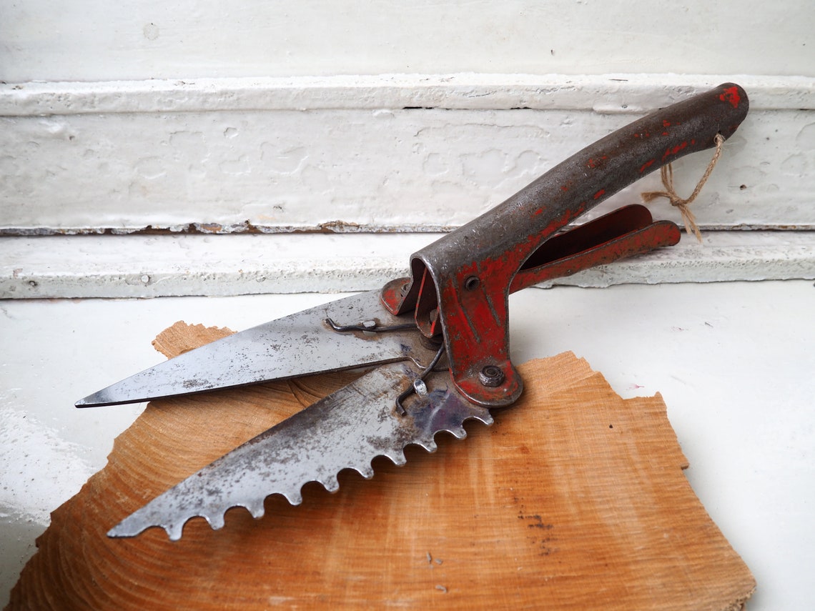 Antique Rusty Garden Shears Tool Garden Weeds Etsy
