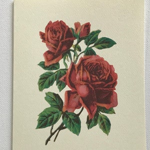 Viktorianischen roten Rose gefaltet Note Karte Set | Grußkarte | Dankeschön-Karte