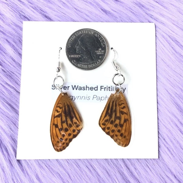 Real Butterfly Wing Earrings: Silver Washed Fritillary (Argynnis Paphia)