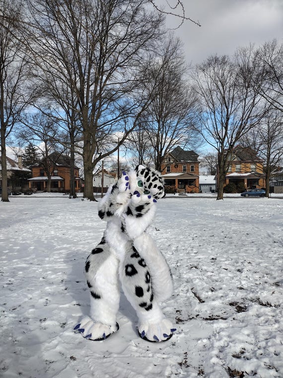 ⛄ Fursuit snow fun ⛄ | Fursuit Maker Amino Amino