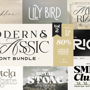 Modern & Classic Font Bundle Vol.2, Cricut Font, Retro Font, Vintage Font, Modern Font, Font Logo, Procreate Font, Instan Download Font