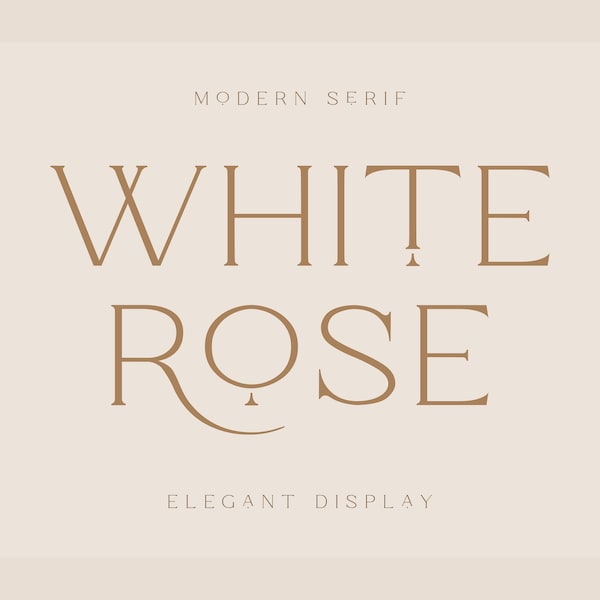 White Rose Typeface, Organic Font, Modern Font, Vintage Font, Elegant Font, Font Logo, Procreate Font, Instan Download Font