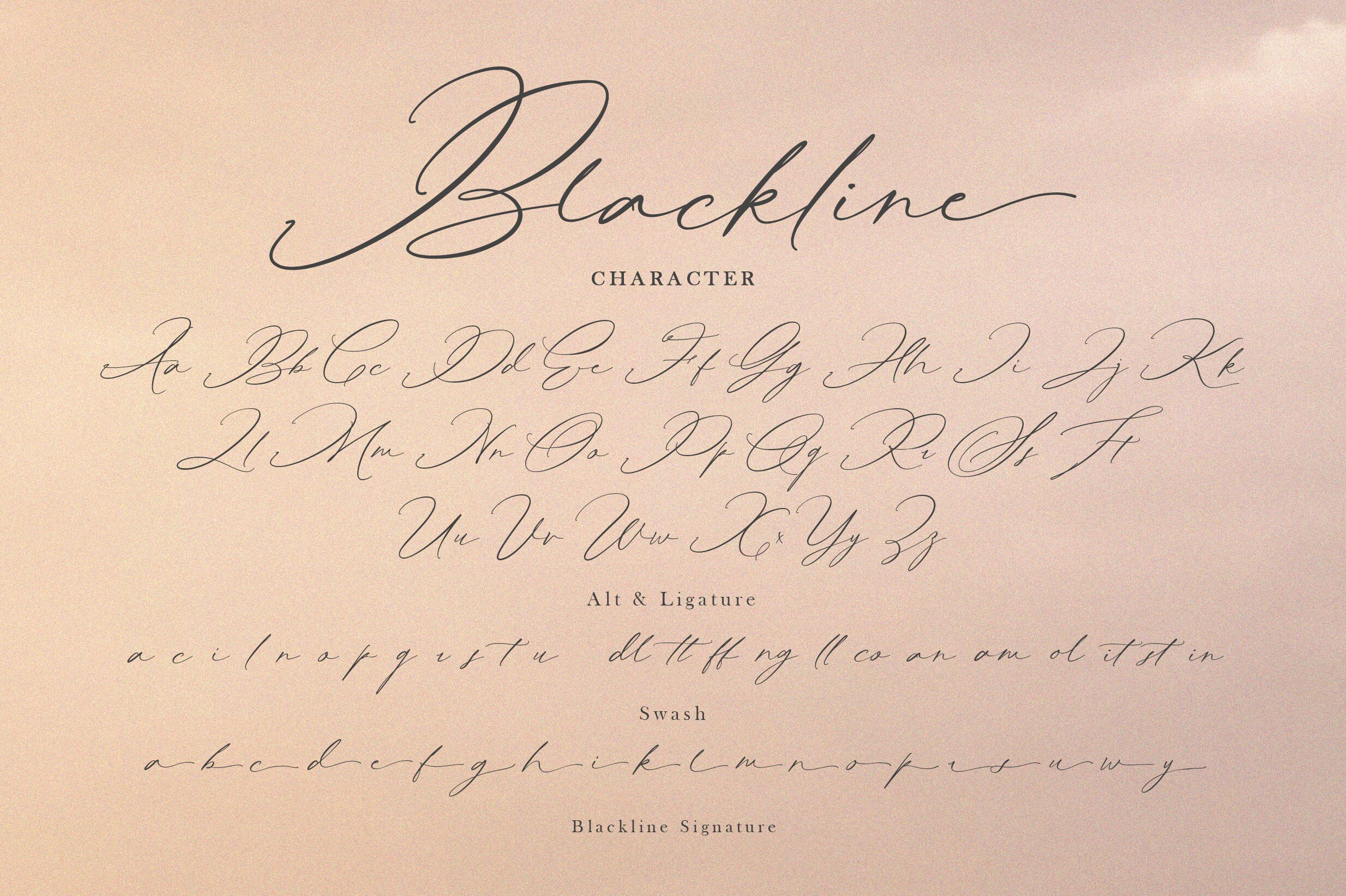 Blackline Signature Font, Procreate Font, Canva Font, Cricut Fonts ...