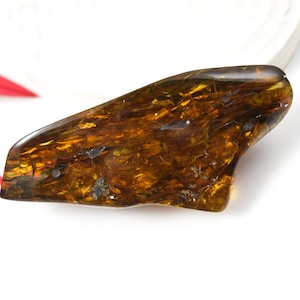 50gr Huge Natural Amber Stone, Amber for Collectors and Museums, Genuine Large Amber Piece, Amber for Healing and Display, Home Decoration