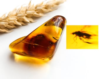 激レア！！羽毛入りビルマ琥珀 Yahoo!オークション - 希少・羽毛入り琥珀 ビルマ ミャンマー 琥珀 羽