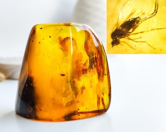 Large Baltic Amber Stone with Insect Inclusion, 41gr Fossil Specimen