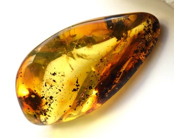 Yellow Baltic Amber Stone Fossils Minerals Home Decoration Geniune Amber Raw,Polished Rocks Natural Gemstone Unique Gift Healing Stone