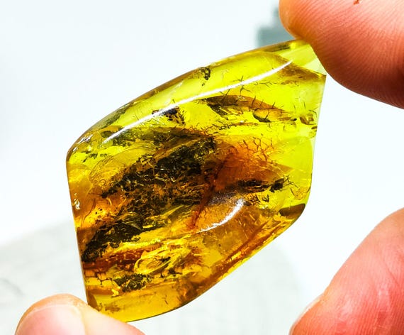 Genuine Amber with Insect Inclusion,Amber Stone with Fossil, Unique Gift,Collector's Specimen,Prehistoric Insect Fossil, Natural Amber