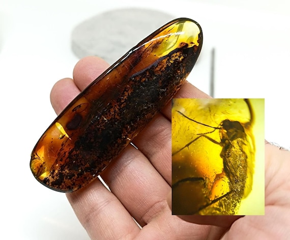 Large Amber with Insect Inclusion,Amber Stone with Fossil, Unique Gift,Collector's Specimen,Prehistoric Insect Fossil, Natural Amber,25gr