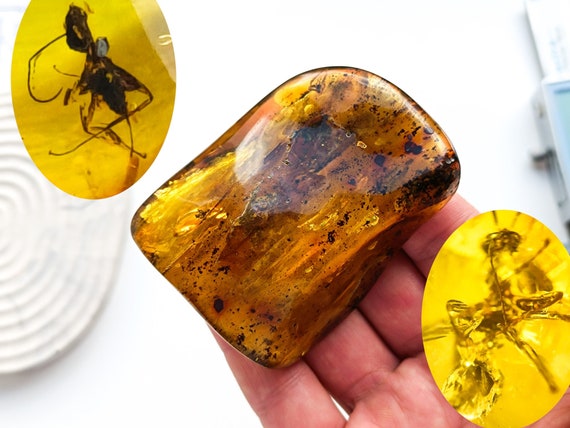 Massive Amber with Insect Inclusion,Amber Stone with Fossil, Unique Gift,Collector's Specimen,Prehistoric Insect Fossil, Natural Amber,67gr