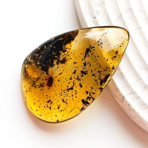 Premium Large Amber Stone, Genuine Natural Amber, Collector&#39;s Piece,Raw Amber  For Display-Carving or Pendant Making, Unique Gift, 20g