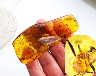 Piedra de ámbar báltico, inclusión de araña, espécimen de fósil de insecto (36 g)