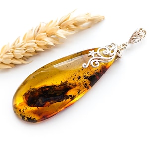 Baltic Amber Pendant,Birthstone Pendant,Amber Pendant with Plant Fossils,Unique Pendant,Cognac Color Amber,Birthday Gift,Gemstone Pendant