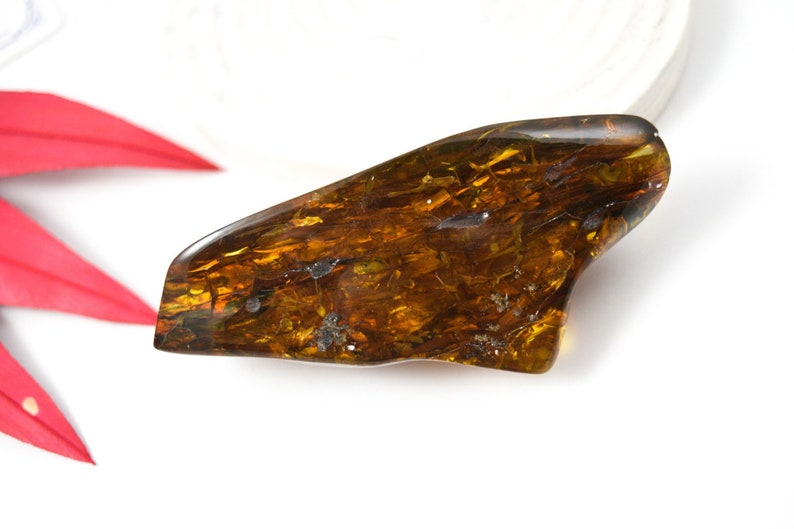 Large Natural Baltic Amber Stone, 50gr Genuine Display Piece - Etsy