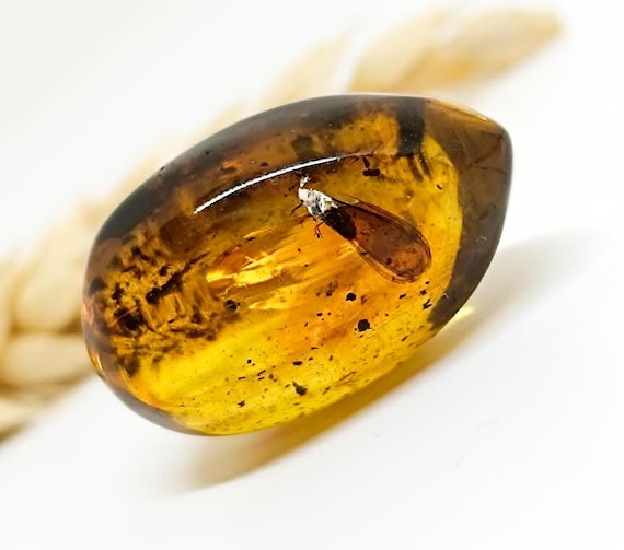 Natural Amber Stone,Amber Gemstone,Collector's Piece,Amber For Display-Carving or Pendant Making,Unique Gift,Genuine Natural Amber Stone