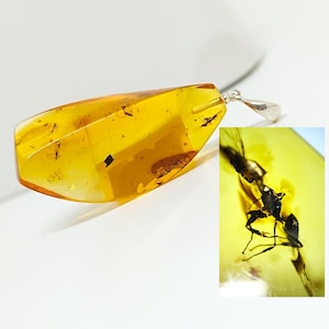 Large Amber Pendant with Insect Inclusion and Silver,Genuine Amber Stone with Fossil,Collector's Specimen,Prehistoric Insect Fossil
