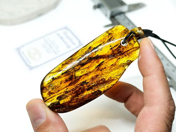 26 gr Large Natural Baltic Amber Pendant with Adjustable Leather, Genuine Amber for Healing, Amber for Collectors, Amber Magic Jewelry