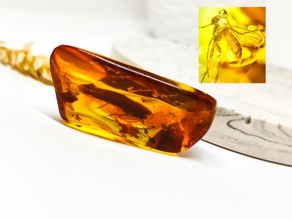 Genuine Amber with Insect Inclusion,Amber Stone with Fossil, Unique Gift,Collector's Specimen,Prehistoric Insect Fossil, Natural Amber,10gr