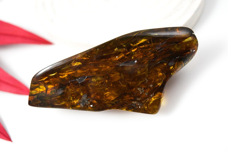 Large Natural Baltic Amber Stone, 50gr Genuine Display Piece - Etsy