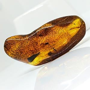 Large Amber Stone,Amber Gemstone,Collector&#39;s Piece,Amber  For Display-Carving or Pendant Making,Unique Gift,Genuine Natural Amber Stone