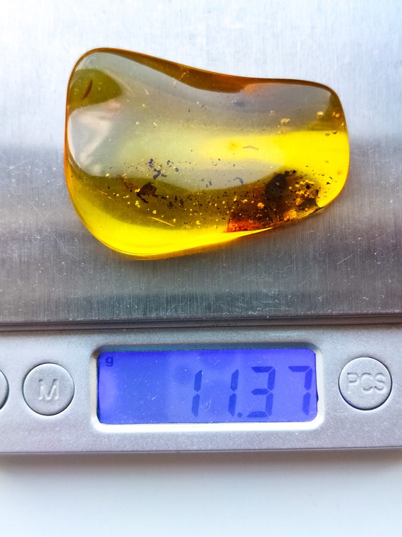 昆虫が混入した本物の琥珀、化石入り琥珀石、昆虫化石と琥珀