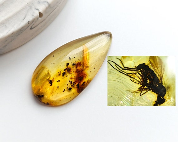 Baltic Amber with Insect Inclusion,Amber Stone with Fossil, Unique Gift,Collector's Specimen,Prehistoric Insect Fossil, Natural Amber