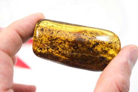 30gr Large Amber Stone,Collector's Piece,Healing Stones,Raw Amber,Amber For Display-Carving,Unique Gift,Genuine Natural Amber Stone