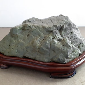 Chinese green turtle gongshi