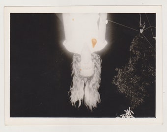 Attractive Young Woman Hanging Upside Down from Tree Hair Flowing Unusual Abstract Snapshot Original Vernacular Found Old Photo