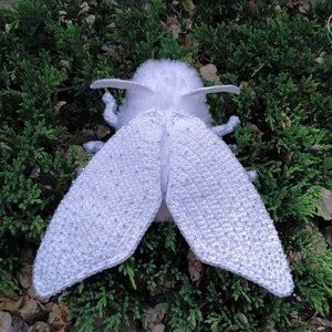 Butterfly Amigurumi Pattern - Moth Crochet Pattern - Tutorial Digital Download DIY Amigurumi - Plush Toy Gift - Handmade Doll