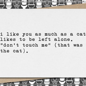 i like you as much as a cat likes to be left alone // funny & sarcastic relationship greeting card // love