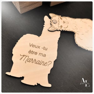 Annonce grossesse, annonce grossesse originale, demande parrain marraine