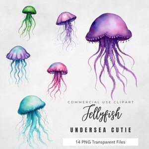 Watercolor Jellyfish Clipart – Undersea Cutie PNGs – Ocean Animal Art – Commercial Use – Pastel Sea Life Graphics