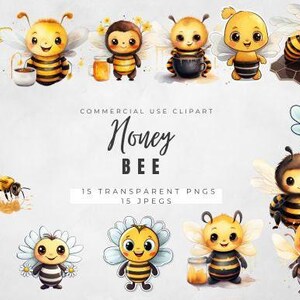 Honigbiene Clipart-Set Transparente PNG Clipart perfekt für Cricut Crafts, Sublimation und Print on Demand