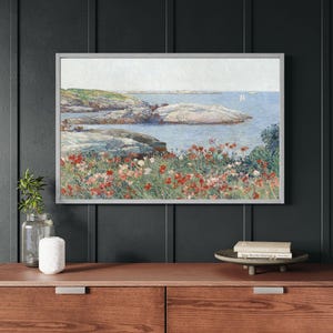 Wildflower Landscape Framed Wall Art: Poppies Isles of Shoals