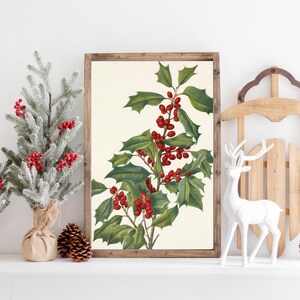 Christmas botanical art in wooden frame, holiday wall decor with greenery and berries