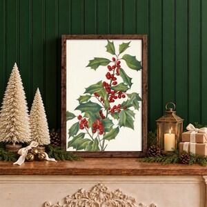 May include: A framed botanical print featuring a detailed illustration of a holly branch with dark green leaves and clusters of bright red berries, set against a plain white background within a dark brown wooden frame.