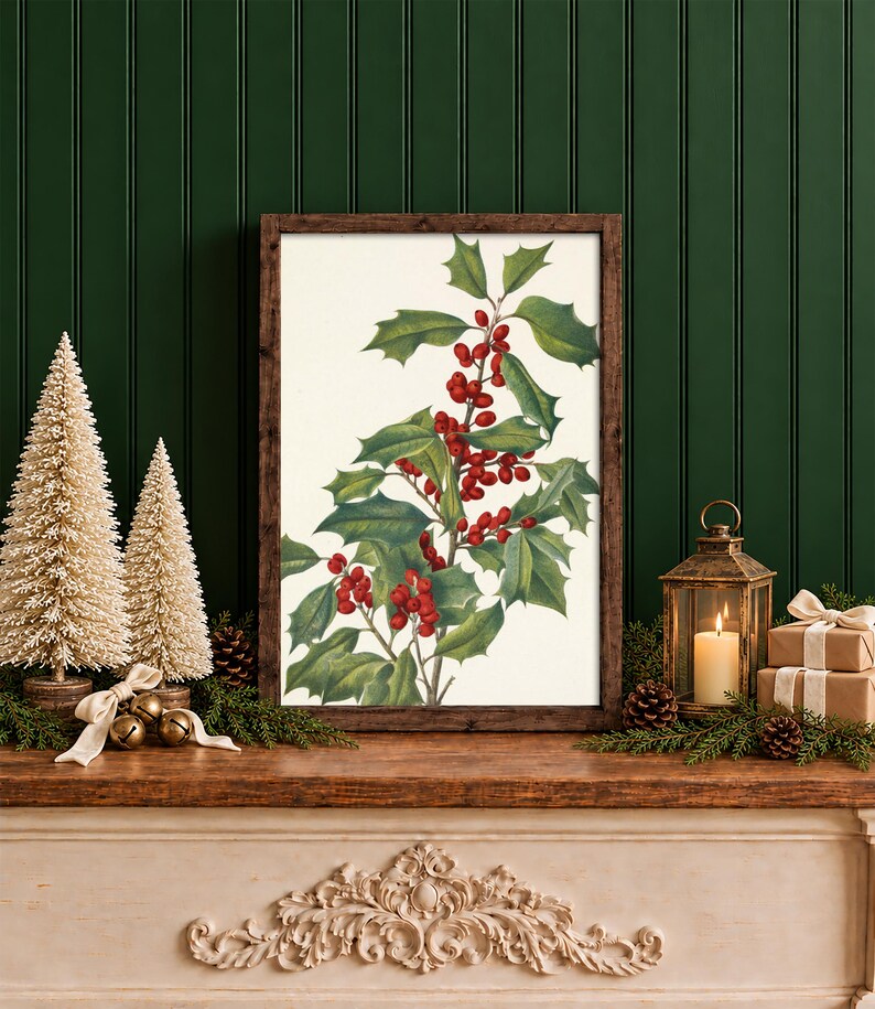 May include: A framed botanical print featuring a detailed illustration of a holly branch with dark green leaves and clusters of bright red berries, set against a plain white background within a dark brown wooden frame.