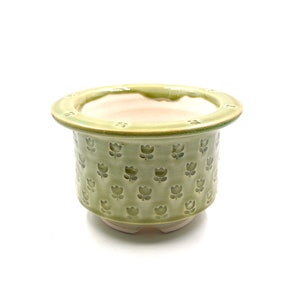 May include: A green ceramic planter with a raised tulip pattern. The planter has a wide rim and a small base.