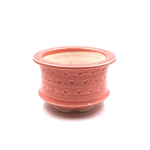 6&quot;inches heart stamp pot planter pot succulent pot