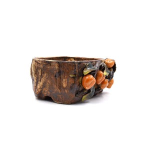 May include: A brown ceramic bonsai pot with a textured surface and a raised design of orange fruit and green leaves.