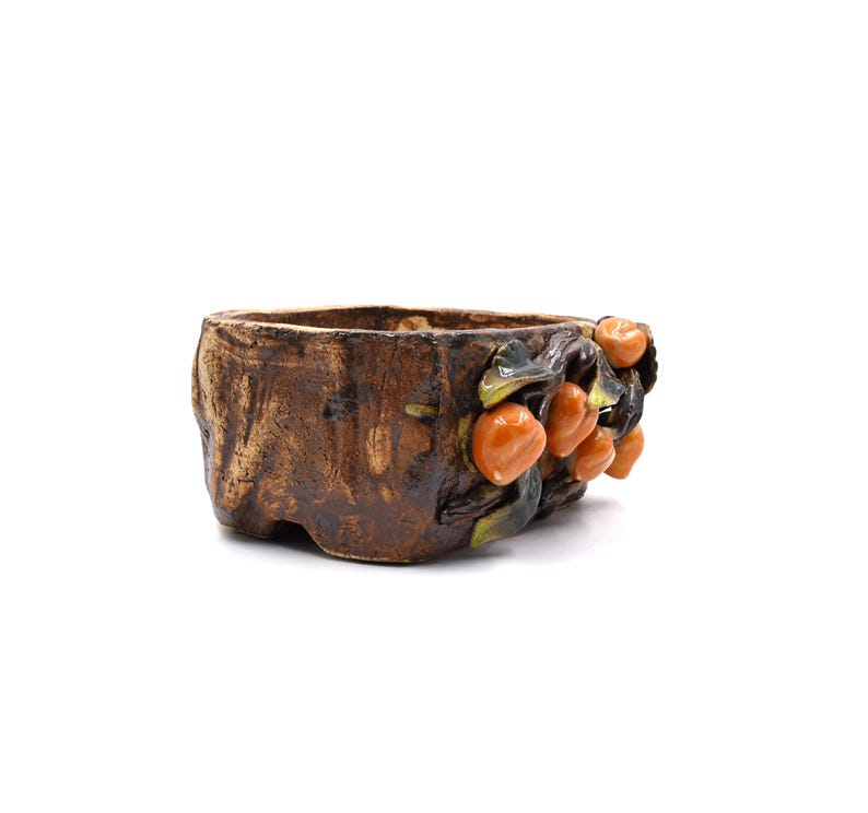 May include: A brown ceramic bonsai pot with a textured surface and a raised design of orange fruit and green leaves.