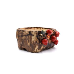 7" tum persikoträd rektangulär stil tankplanter kruka suckulenter krukor bild 3