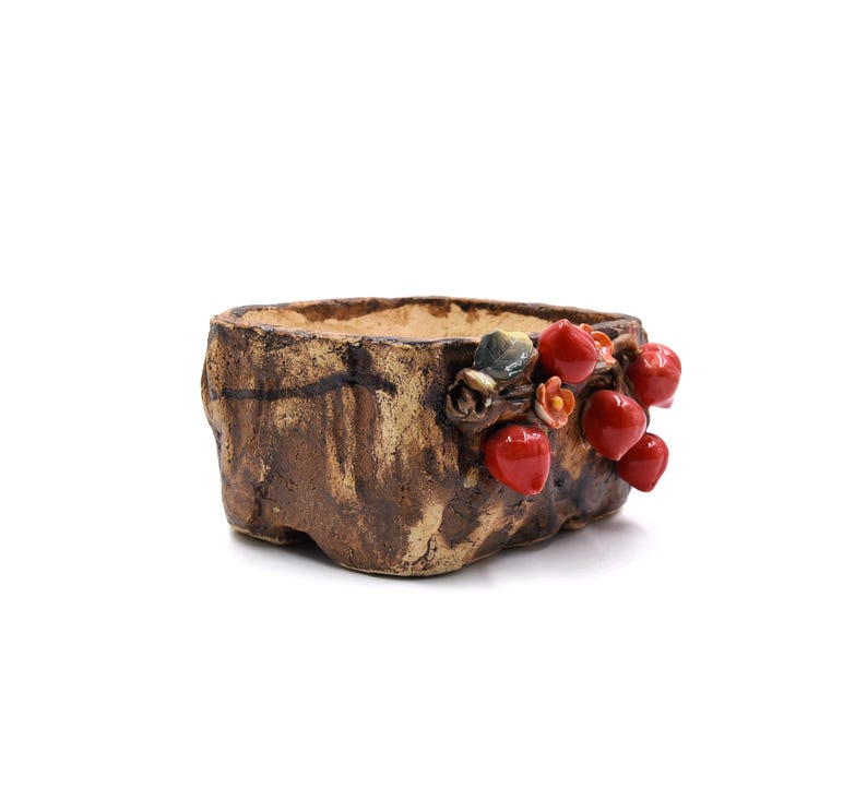 7" tum persikoträd rektangulär stil tankplanter kruka suckulenter krukor bild 3