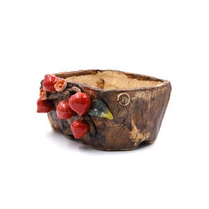 7" tum persikoträd rektangulär stil tankplanter kruka suckulenter krukor bild 2