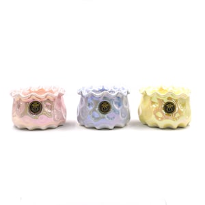 May include: Three ceramic planters in pink, blue, and yellow with a scalloped edge and a gold logo. The planters are made of a textured ceramic and have a glossy finish.
